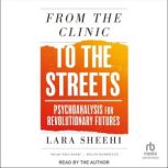 From the Clinic to the Streets, Lara Sheehi