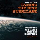 Taming the Risk Hurricane, David  Hillson