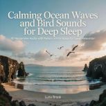 Calming Ocean Waves and Bird Sounds f..., Luna Brook