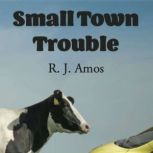 Small Town Trouble, R. J. Amos