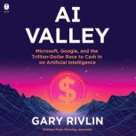 AI Valley, Gary Rivlin