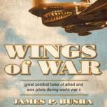 Wings of War, James P. Busha