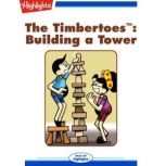 Building a Tower, Rich Wallace