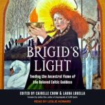 Brigid's Light Tending the Ancestral Flame of the Beloved Celtic Goddess, Cairelle Crow