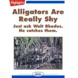 Alligators Are Really Shy, Pringle Pipkin