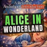Alice in Wonderland  A Relaxing Audi..., Lewis Carroll