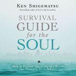 Survival Guide for the Soul How to Flourish Spiritually in a World that Pressures Us to Achieve, Ken Shigematsu
