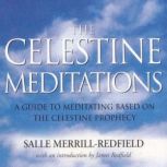 The Celestine Meditations, Salle Merrill Redfield