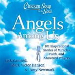 Chicken Soup for the Soul Angels Amo..., Jack Canfield