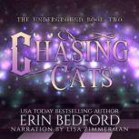 Chasing Cats, Erin Bedford