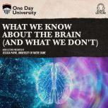 What We Know About the Brain (and What We Don't), Jessica Payne