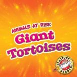 Giant Tortoises, Rachel Grack