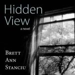 Hidden View, Brett Ann Stanciu
