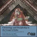 Christology and Discipleship in the G..., Felix Just