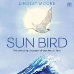 Sun Bird, Lindsay Moore