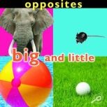 Opposites Big and Little, Luana K. Mitten