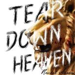 Tear Down Heaven, Rachel Aaron