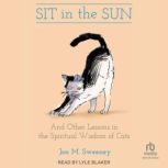 Sit in the Sun, Jon M. Sweeney