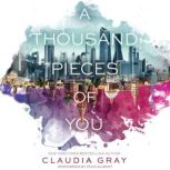 A Thousand Pieces of You, Claudia Gray
