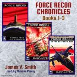 Force Recon Chronicles Books 1  3, James V. Smith