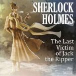 Sherlock Holmes The Last Victim of J..., Petr Macek