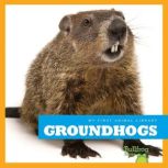 Groundhogs, Cari Meister