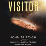 Visitor, John Triptych