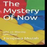 The Mystery Of Now, Tarupiwa Muzah