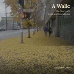 A Walk, Zubin Cesar