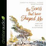 Scars That Have Shaped Me How God Meets Us in Suffering, Vaneetha Rendall Risner