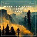 Morning Birdsong of Yosemite Forest, Greg Cetus