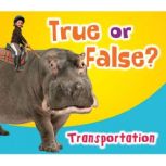 True or False? Transportation, Daniel Nunn