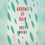 Arrows of Rain, Okey Ndibe