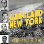 Gangland New York The Places and Faces of Mob History, Anthony M. DeStefano