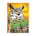 Greathorned Owls, Christina Leaf