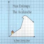 Max Entropy  The Avalanche, Megan Preston Meyer