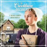 The Creektown Discoveries, Wanda E Brunstetter
