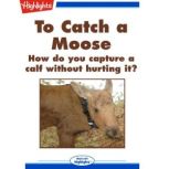 To Catch a Moose, Pat Kerr
