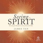 Seeing the Spirit, James Tan