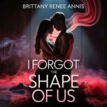 I Forgot The Shape Of Us, Brittany Renee Annis