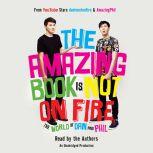 The Amazing Book Is Not on Fire, Dan Howell