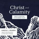 Christ and Calamity, Harold L. Senkbeil