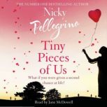 Tiny Pieces of Us, Nicky Pellegrino