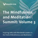 The Mindfulness and Meditation Summit..., Daniel Siegel, MD