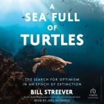 A Sea Full of Turtles, Bill Streever