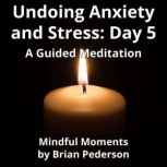 Undoing Anxiety and Stress Day 5, Brian Pederson