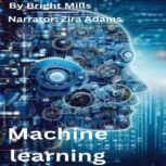 Machine learning, Bright Mills