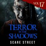 Terror in the Shadows Vol. 17, Scare Street