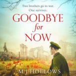 Goodbye for Now, M.J. Hollows