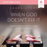 When God Doesn't Fix It: Audio Bible Studies Learning to Walk in God's Plans Instead of Our Own, Laura Story